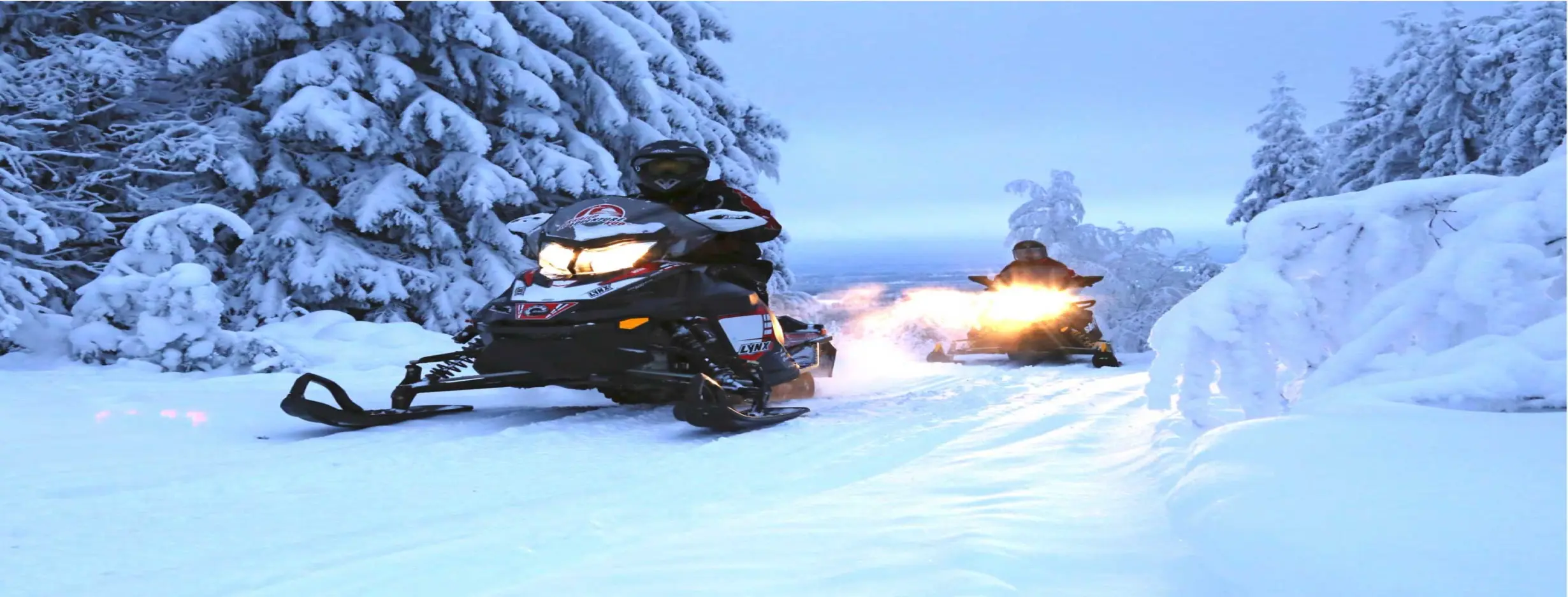 Image for Snowmobiling Safari